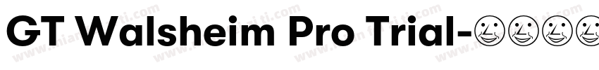 GT Walsheim Pro Trial字体转换
